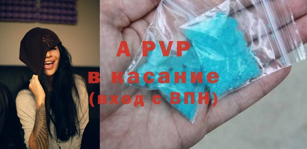 сатива Ростов