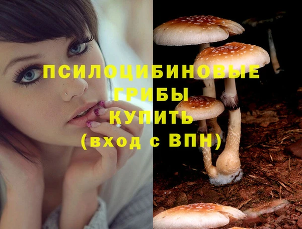 2c-b Алзамай