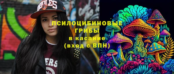 2c-b Алзамай