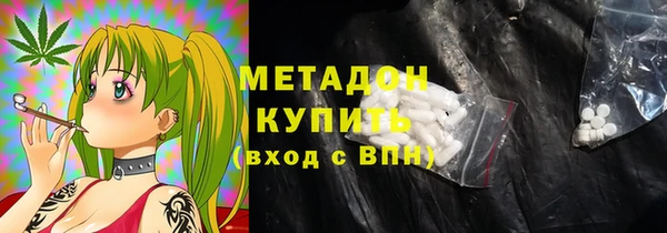 прущие грибы Рославль