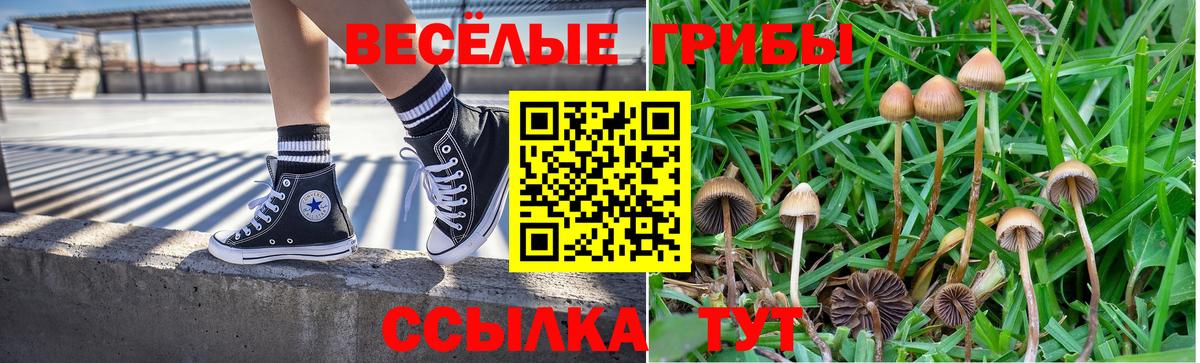 Псилоцибиновые грибы ЛСД Котельники