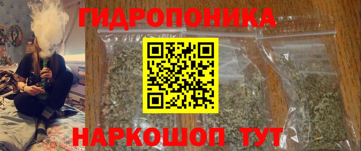 Бошки марихуана план  Канабис White Widow  МАРИХУАНА план  Вход с VPN  Котельники  МАРИХУАНА White Widow 